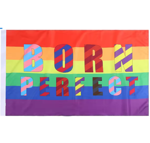 Bandera del Orgullo Lésbico de Alta Calidad con Diseño de Arcoíris, Impresión Digital para Eventos Deportivos Patrióticos y Desfiles - Product Image 2