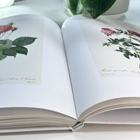 Impression de brochures, catalogues et magazines en offset couleur pleine, sur papier cartonné brillant, de haute qualité, en gros, sur mesure, 2024