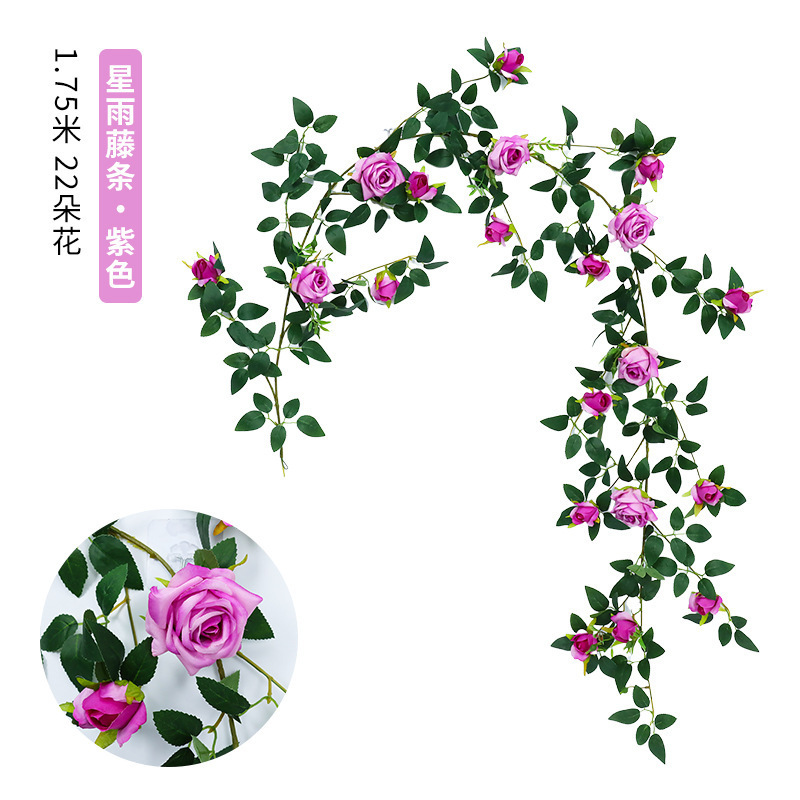 Vignes de roses de bon augure [Violet]