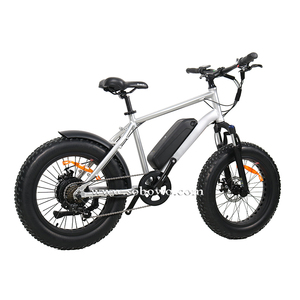 <span class=keywords><strong>Moteur</strong></span> arrière 8FUN 20 pouces avec batterie <span class=keywords><strong>amovible</strong></span> pour vélo électrique 500/750W, livraison gratuite - Product Image 6