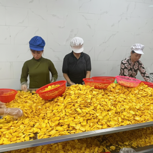 ชิปขนุนกรอบทำจากขนุนแท้ขนมเพื่อสุขภาพสำหรับขายปลีกหรือจำหน่าย - Product Image 1