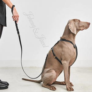 PU Leather Dog Leash Poop Bag Holder Heavy Duty Braided Lead Brass Snap Hook Soft Padded Handle Water Resistant Eco-Friendly - Product Image 1
