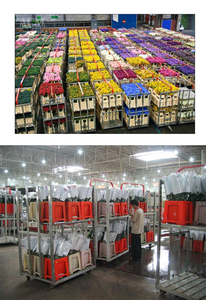 סיר פרחים ארבע גלגל רשת מתכת רולים עבור מכירות פומביות שוק תחבורה כבד עבור עציצים גדולים oem - Product Image 5