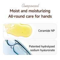 Prix de gros Crème pour les mains biologique avec fonction blanchissante Mini lotion hydratante et hydratante Coffret cadeau Logo privé