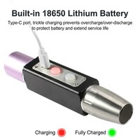 Linterna de Identificación de Jade DUNFBIRD, LED UV de 365nm, Recargable, para Inspección de Gemas y Joyería, Tipo-C, Acero Inoxidable 304
