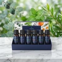 Ensemble d'huiles essentielles Puloty pour l'aromathérapie - 6 huiles pour diffuseurs, soins à domicile, fabrication de bougies, parfums, humidificateurs, cadeaux