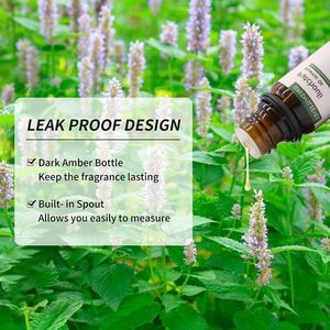 Tùy Chỉnh Nhãn Tươi Chanh Cam Tinh Dầu Thiết Lập 100% Hữu Cơ Tự Nhiên Lime Skincare Spa Massage Hương Thơm Khuếch Tán Tinh Dầu - Product Image 4