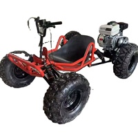 Kart de Carreras Profesional de 212cc, Gasolina, 4 Tiempos, Llantas de 8-10 Pulgadas, Transmisión por Cadena, Frenos de Disco Hidráulicos, Velocidad Máxima de 60km/h, para Entretenimiento