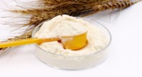 Formulasi Khusus Bubuk Protein Tinggi untuk Dewasa 80g/100g Sesuai Standar CGMP Bebas Patogen untuk Peningkatan Massa Otot OEM