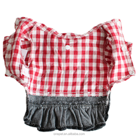 Robe rouge pour chien, vêtements pour animaux de compagnie de qualité, robe rayée pour chien, vêtements en jean, manteau assorti pour chien et propriétaire