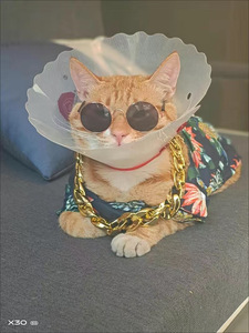 Vendita in fabbrica vari <span class=keywords><strong>occhiali</strong></span> per animali domestici ampiamente utilizzati <span class=keywords><strong>occhiali</strong></span> per cani prodotti per animali domestici accessori per vestiti - Product Image 2