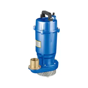 Pompa per acqua cinese all'ingrosso serie Qdx 750w 1hp pompa per pozzo profondo verticale elettrica sommergibile