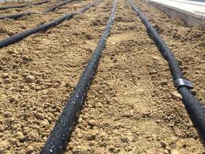 Manguera de Riego Profesional y Duradera, Ahorradora de Agua, Manguera de Goteo Porosa para Jardín, Sistema de Tuberías Flexibles de Presión para Proyectos - Product Image 5