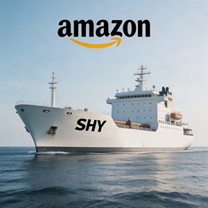 <span class=keywords><strong>Spedizioniere</strong></span> con Servizio Porta a Porta DDP dalla Cina a USA, Francia, Germania, Spagna, Italia e Altri Paesi - Product Image 3