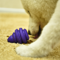 Jouet pour chien Petstar, jouet à mâcher en caoutchouc pour chien