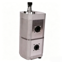 Pompe à engrenages externe double légère en aluminium CBWL-E320/316 pour unité hydraulique multi-circuits