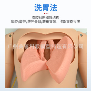 Maniquí de enfermería avanzado con funciones completas, maniquí de cateterización masculino y femenino con órganos internos, úlceras por presión, orales y - Product Image 5