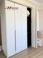 Armoires modernes durables et légères, nouveau design d'usine pour meubles de chambre, luxe pour appartements, rangement de vêtements
