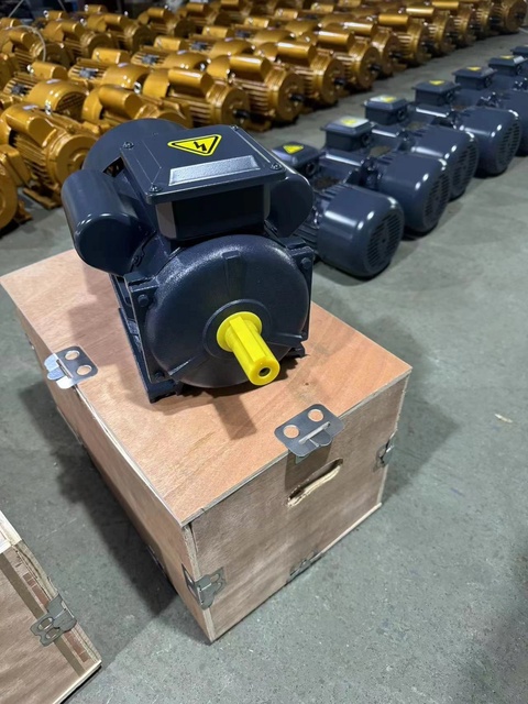 YL Single-phase AC Motor 5HP
