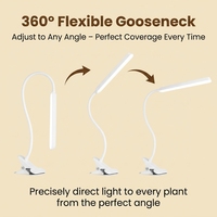 Kit de plantes pour micro-paysage d'intérieur avec lumière de croissance à intensité variable et minuterie pour la décoration de mini-fleurs et de semis de légumes à domicile
