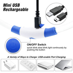 Venta caliente logotipo personalizado Usb recargable impermeable Light up Pet impermeable Collares De Perros Para Perro Custom Led <span class=keywords><strong>Dog</strong></span> <span class=keywords><strong>Collar</strong></span> - Product Image 3