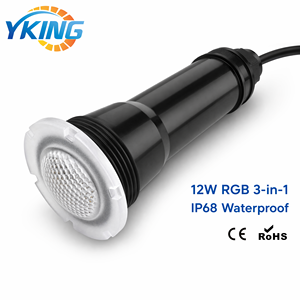 ไฟสระว่ายน้ำ LED RGB หลายสี ยี่ห้อ Pentair Globrite รุ่น Nicheless ขนาด 12W AC12V กันน้ำ IP68 พร้อมสายไฟยาว 2.5 เมตร - Product Image 3