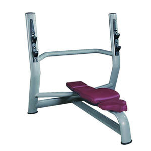 Banco de Pesas Plano de Grado Comercial, Banco de Pesas de Acero Resistente para Gimnasio, Centro de Fitness, Entrenamiento de Fuerza - Product Image 1