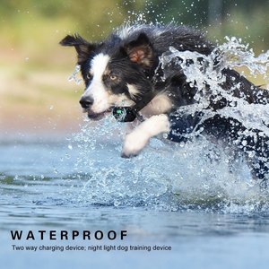 Collier anti-aboiement rechargeable USB en plastique pour chien avec vibration pour arrêter les aboiements - Product Image 4