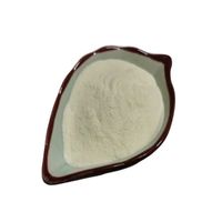 Extrait de haricot blanc de qualité alimentaire en poudre, 2% de phaseolamine, extraction liquide-solide, conditionné sous vide, 1 kg