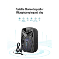 Nouveau design 6.5 pouces BT haut-parleur rechargeable bonne qualité système de sonorisation haut-parleur portable extérieur haut-parleurs de chariot