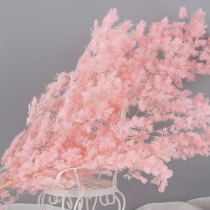 Arrangements de fleurs préservées de <span class=keywords><strong>fougère</strong></span> Ming naturelle Plusieurs couleurs Fleurs séchées Remplisseurs Asperges Myriocladus Plantes décoratives - Product Image 1