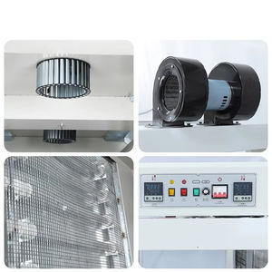 Machine d'emballage thermo-rétractable automatique de qualité alimentaire BSE-4535 POF/PVC/PE, haute productivité - Product Image 5