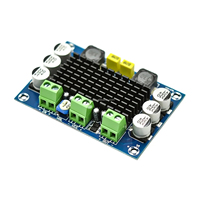 Carte amplificateur numérique mono XH-M542 100W TPA3116 12-26V carte amplificateur audio numérique
