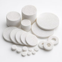 Élément filtrant poreux en UHMWPE fritté de haute pureté pour la préparation d'échantillons en laboratoire analytique