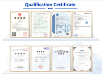 Pont piétonnier préfabriqué en acier lourd de fabrication chinoise, conception BAILEY, grade Q345B-Q460C, modèle CB321