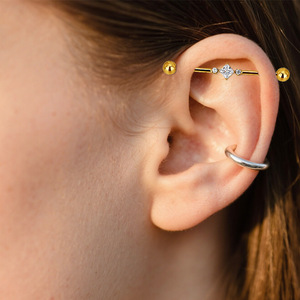 Boucles d'oreilles clous en alliage de titane avec zircon et motif papillon pour femme, bijoux de piercing tendance pour soirée - Product Image 1