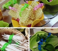 Clip à légumes à cinq griffes, cage à œufs de caille standard, PP écologique, haute qualité, coloré, toucher doux, ressort robuste