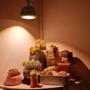 E27 quang phổ đầy đủ dẫn phát triển ánh sáng bóng đèn ánh sáng ban ngày trắng cân bằng cho các nhà máy trong nhà bền nhôm cơ thể với IP65 đánh giá - Product Image 6