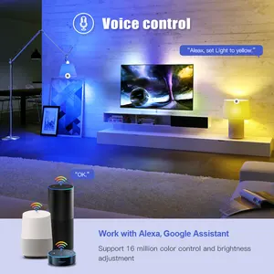 WiFi akıllı ampul 12W 15W RGB + beyaz + sıcak beyaz E27 LED ampul dim Alexa uyumlu Tuya akıllı yaşam APP Google yardımcısı