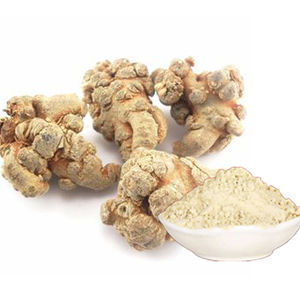 10:1,4:1,80% Notoginsenosides Panax notogoginseng экстракт корня SanQi экстракт порошка - Product Image 1