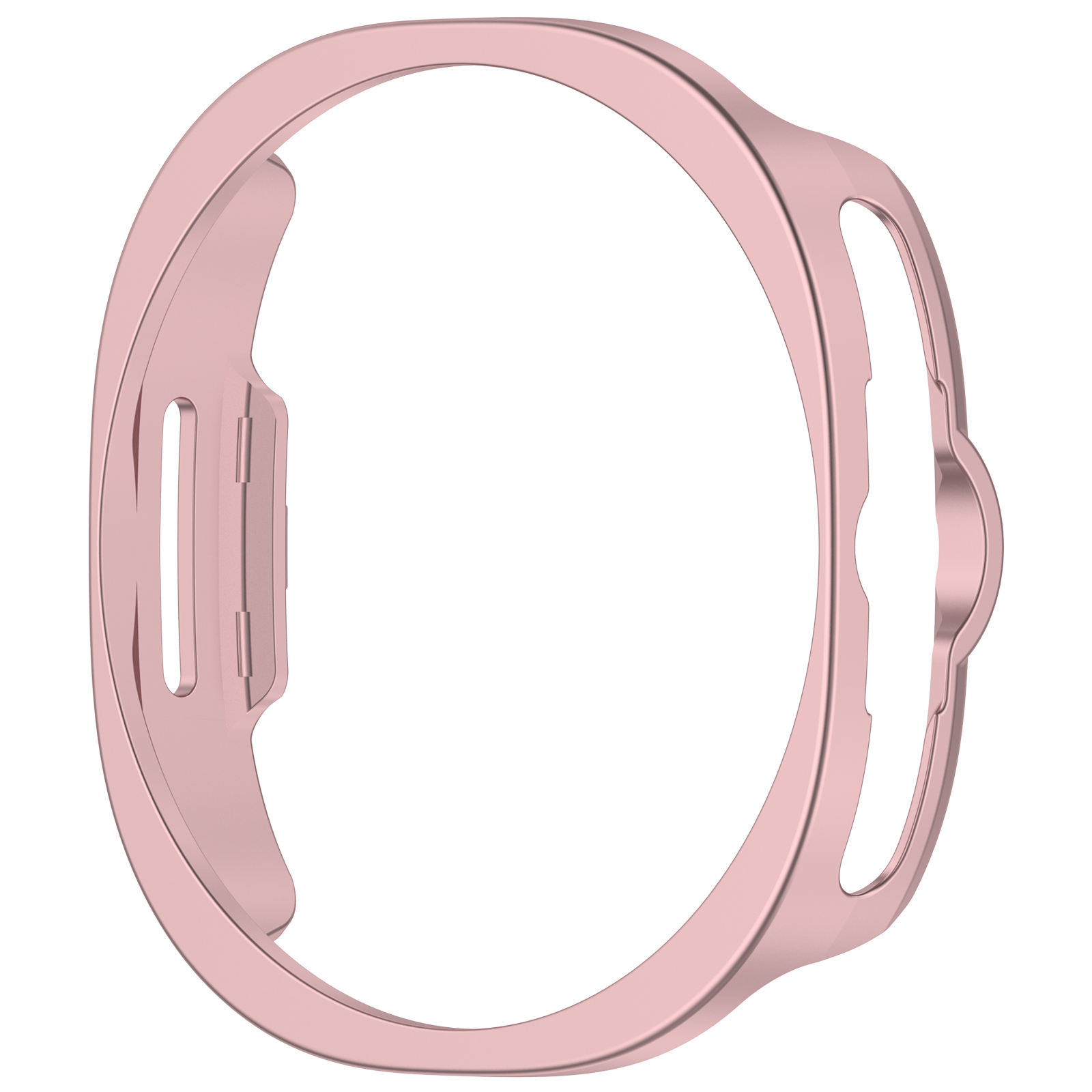 กุหลาบสีชมพู