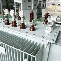 Transformateur de distribution immergé dans l'huile Hengdiantong S20-M-315 en cuivre 10kV 220V 380V Économie d'énergie OEM ODM CE