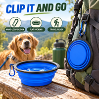 Bol pliable en silicone pour animaux de compagnie, pliable et portable, pour nourriture et eau, avec crochet pour les voyages en plein air et les promenades