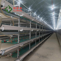 Vente flash : Équipement d'élevage avicole automatique de type batterie pour poulets pondeuses, capacité 10 000 poulets par cage