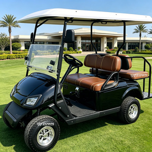 Voiturette de golf à essence certifiée CE 4 places, buggy de golf routier à essence, acier Q235B, 30-50 km/h, pour club de golf, chasse, tourisme - Product Image 1
