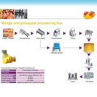 Complete Mango-En Ananasproductiefabriek Mangosap-Verwerkingslijn Op Maat Gemaakte Vruchtensapmachine, Mits Plc 600