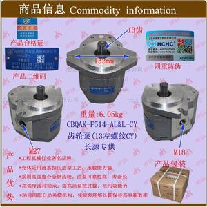 ตัวแทนจำหน่ายแบรนด์ Shengan + Changyuan 13 ปั๊มเกียร์เกลียวซ้าย (ปั๊มลูกสูบ) สภาพใช้งานแล้ว-CBQAK-F514-AL&L - Product Image 2