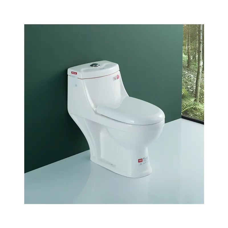 WDSI compostaje de baño chino wc baño público wc con marca de agua de baño