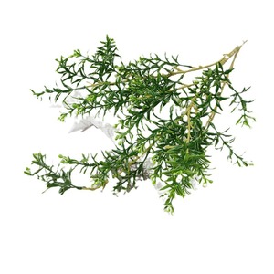 Hojas Artificiales de Murraya Paniculata de 30cm-100cm, Ramas de Plástico Verde Amarillo para Arreglos Florales y Decoraciones de Boda - Product Image 5