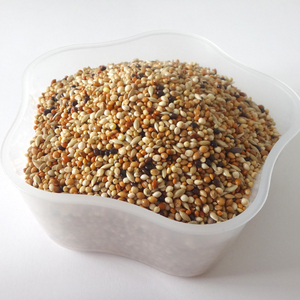 Mélange de 5 filets pour aliments bouddhistes, aliments en vrac, petit Parot, 1kg - Product Image 6